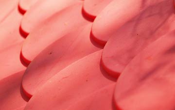 Haggs plastic roof costs