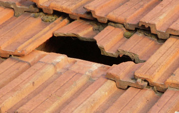 roof repair Haggs, Falkirk