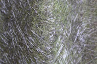 Haggs fibreglass roof work